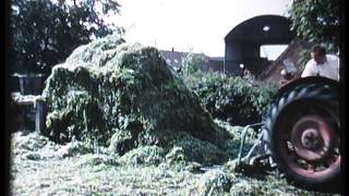 Dairy Farming in the UK in the 1960s [upl. by Zehcnas]