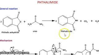 PREPARATION OF PHTHALIMIDE [upl. by Marko203]