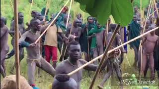 Brutal traditions of the surma Tribes Ethiopia [upl. by Joannes766]