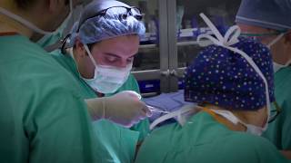 Lapiplasty Procedure Patient Education Video [upl. by Veradi787]