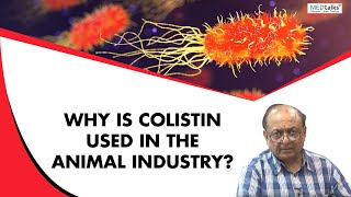 Dr Sunil Gupta  why is colistin used in animal industry [upl. by Aiht178]