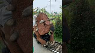 NAIK KERETA DINOSAURUS TRICERATOP BARENG ADEK KAKA [upl. by Enilkcaj]