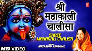 Shree Mahakali Chalisa Anuradha Paudwal Full Song  Shree Mahakali Chalisa [upl. by Quar]